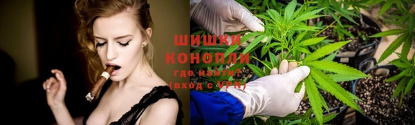сатива Архангельск