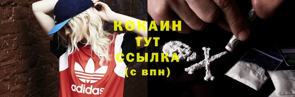 ALPHA PVP Покровск