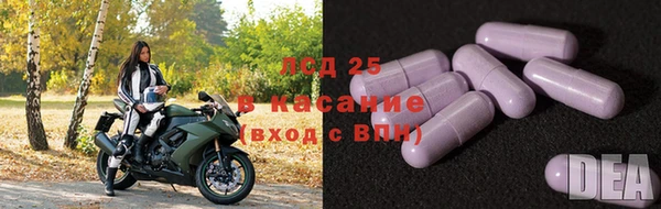 ALPHA PVP Покровск