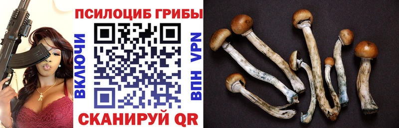 Псилоцибиновые грибы MAGIC MUSHROOMS  Азов 